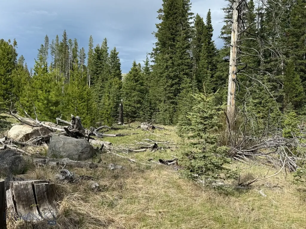 Nhn (Clipper Lode) Cataract Creek Road Boulder MT 59632