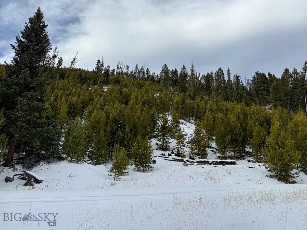 Nhn (Clipper Lode) Cataract Creek Road Boulder MT 59632
