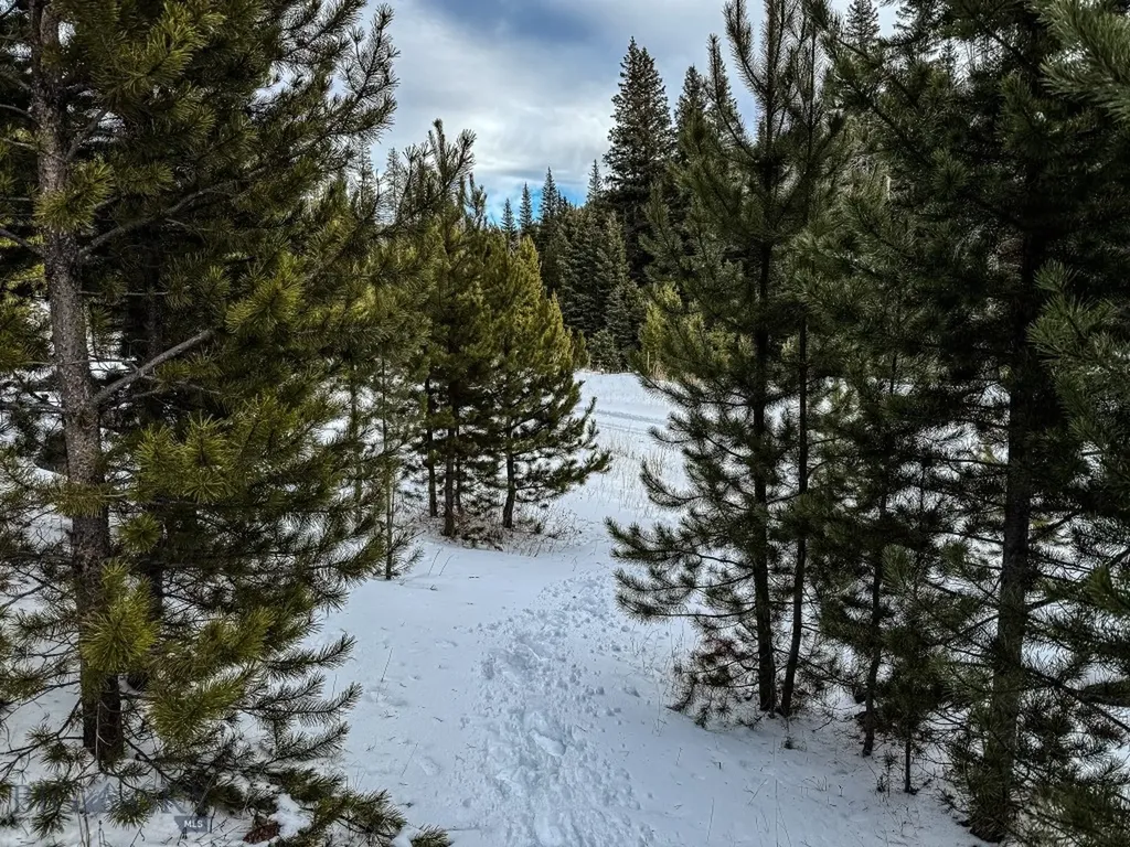 Nhn (Clipper Lode) Cataract Creek Road Boulder MT 59632