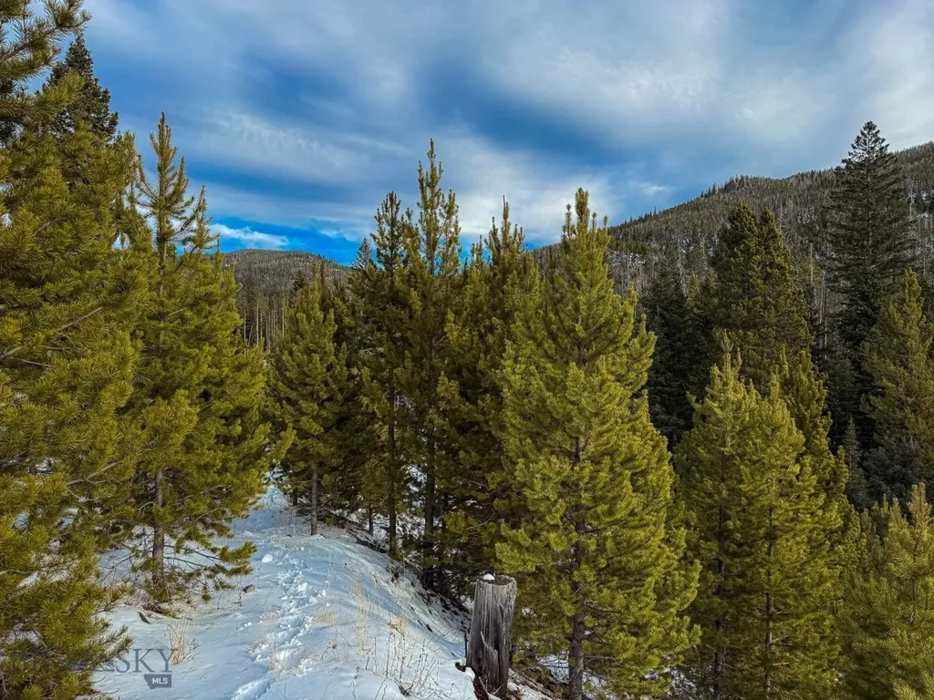 Nhn (Clipper Lode) Cataract Creek Road Boulder MT 59632