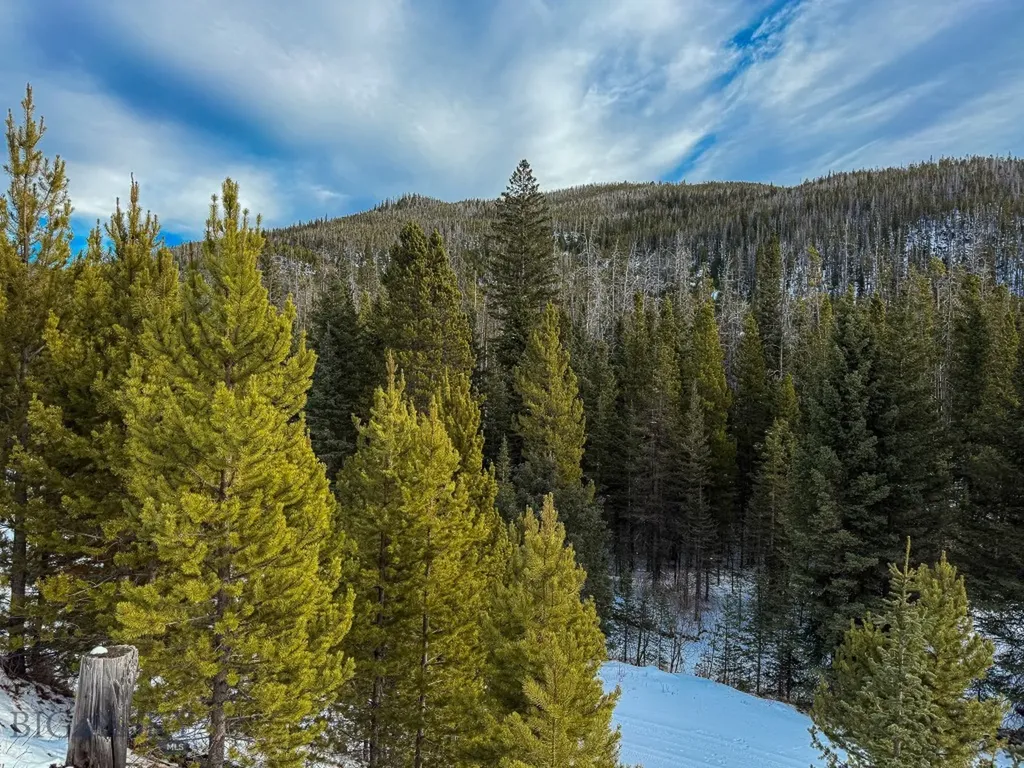 Nhn (Clipper Lode) Cataract Creek Road Boulder MT 59632