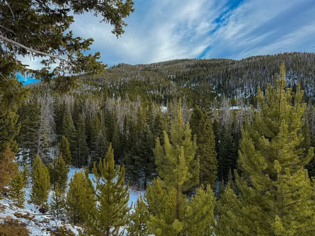 Nhn (Clipper Lode) Cataract Creek Road Boulder MT 59632