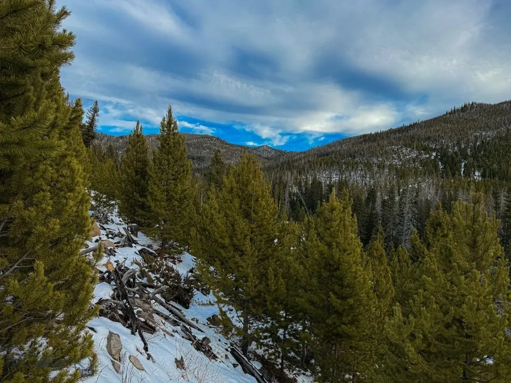 Nhn (Clipper Lode) Cataract Creek Road Boulder MT 59632