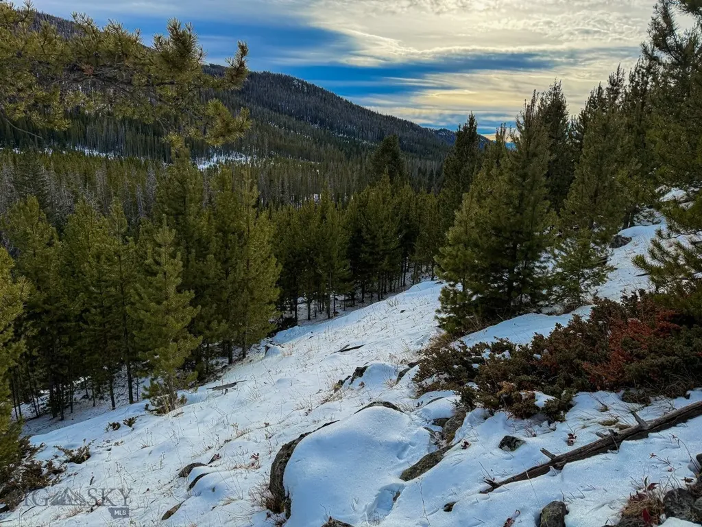 Nhn (Clipper Lode) Cataract Creek Road Boulder MT 59632