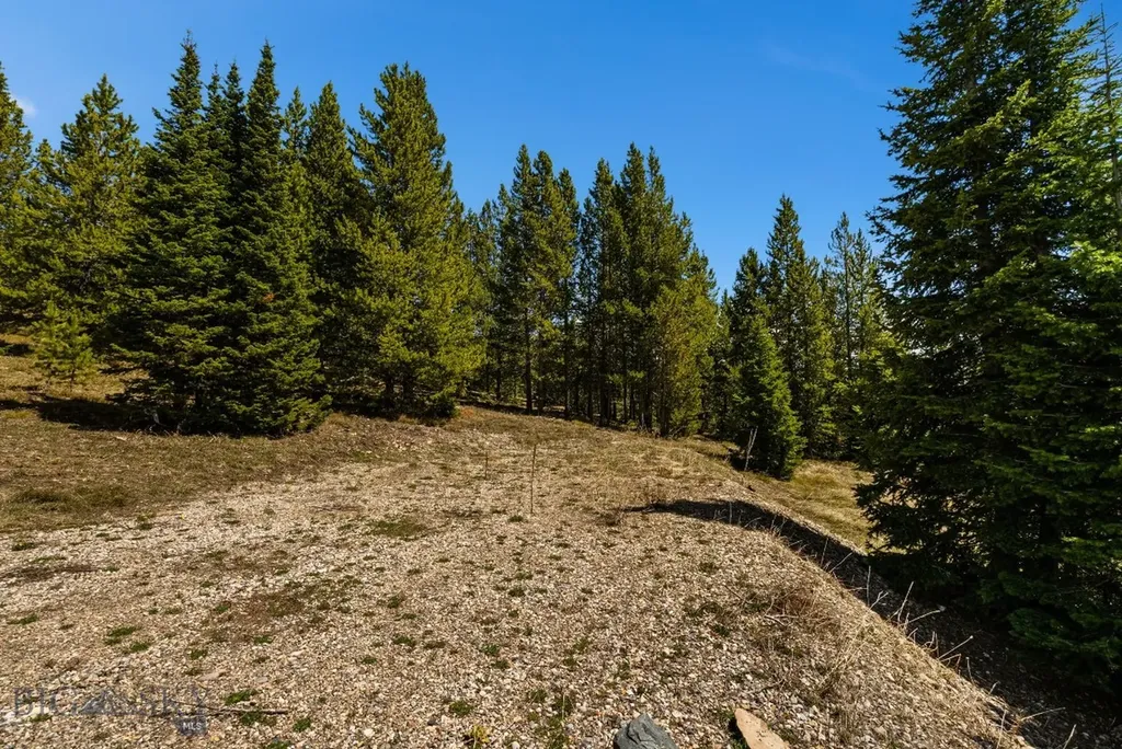 Tbd Washakie Road Big Sky MT 59716