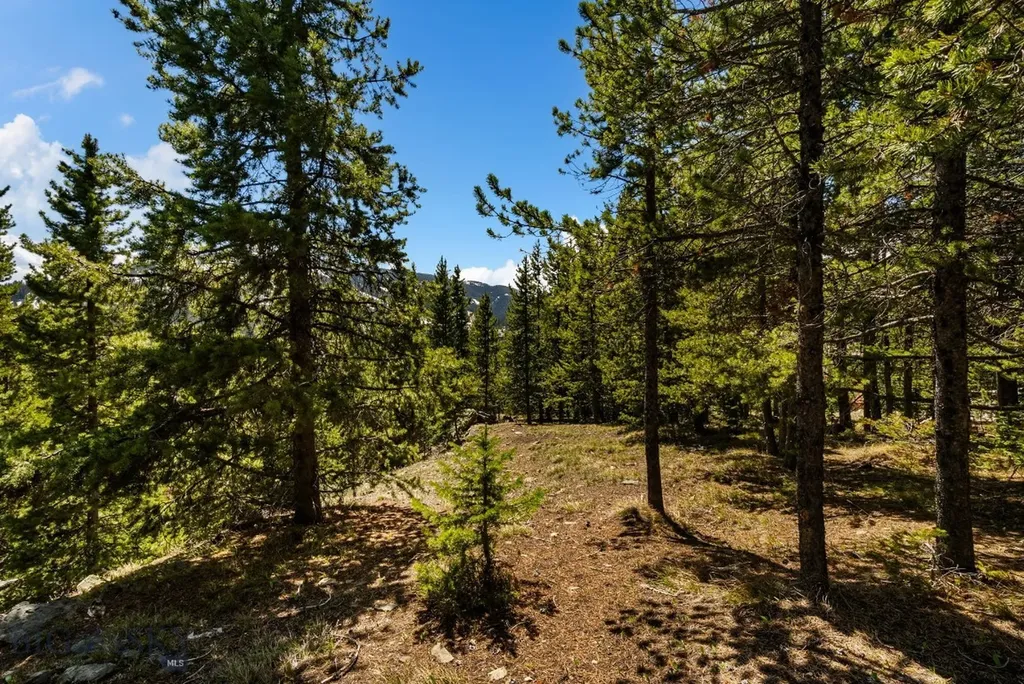 Tbd Washakie Road Big Sky MT 59716