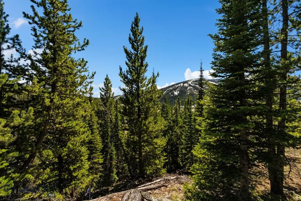 Tbd Washakie Road Big Sky MT 59716