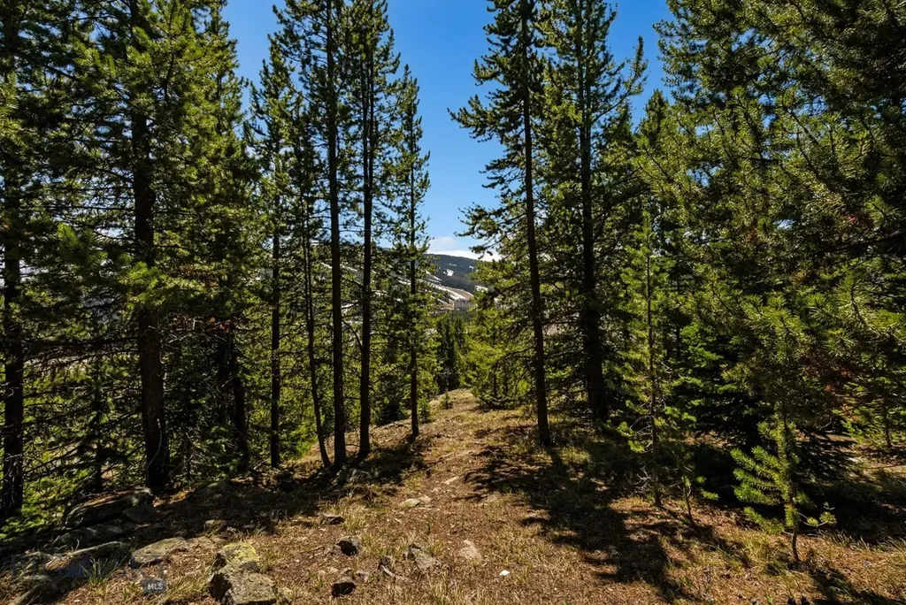 Tbd Washakie Road Big Sky MT 59716