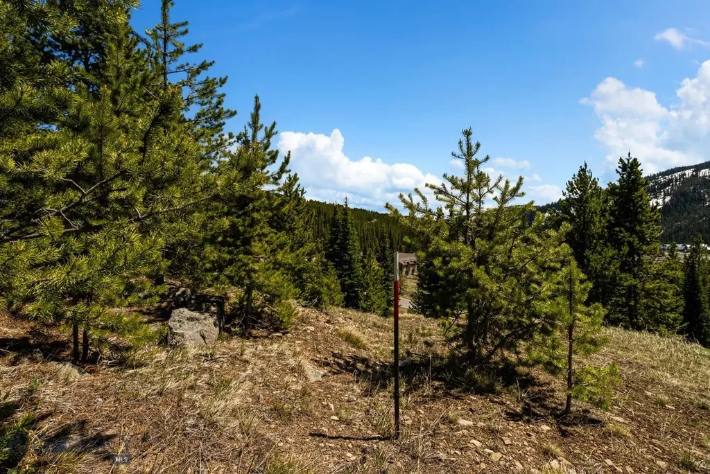 Tbd Washakie Road Big Sky MT 59716
