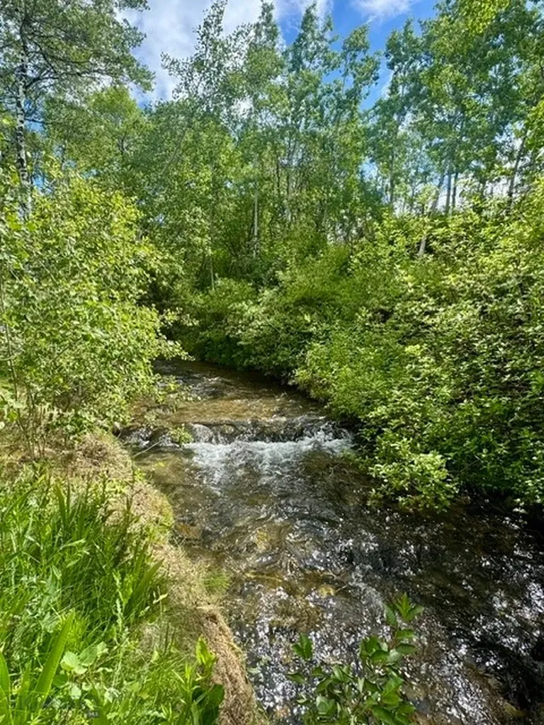 9350 Walker Road Belgrade MT 59714