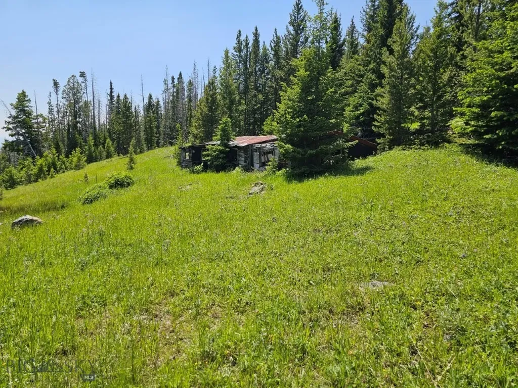 New Era Indian Creek Townsend MT 59644