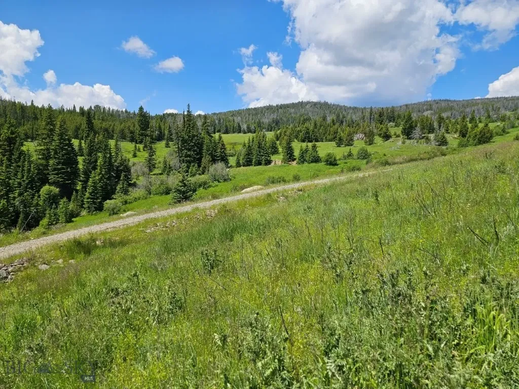 New Era Indian Creek Townsend MT 59644