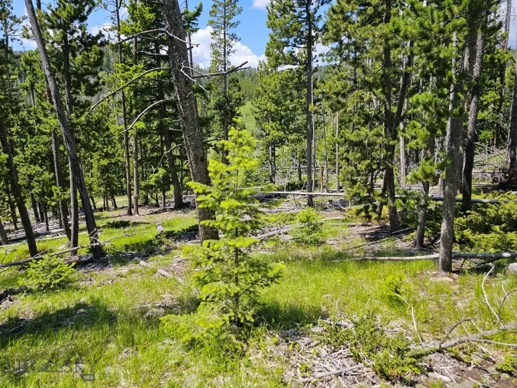 New Era Indian Creek Townsend MT 59644