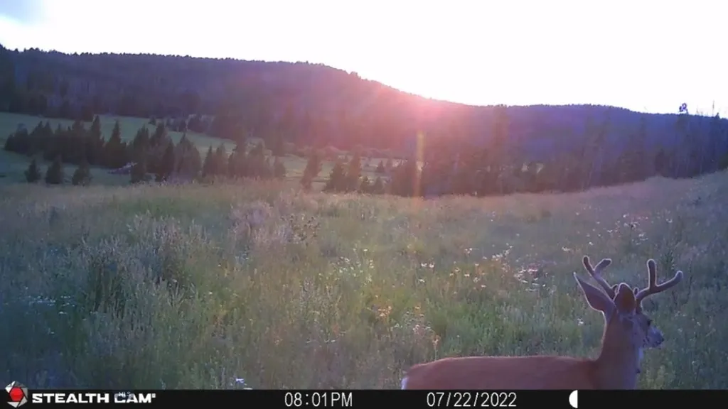 New Era Indian Creek Townsend MT 59644
