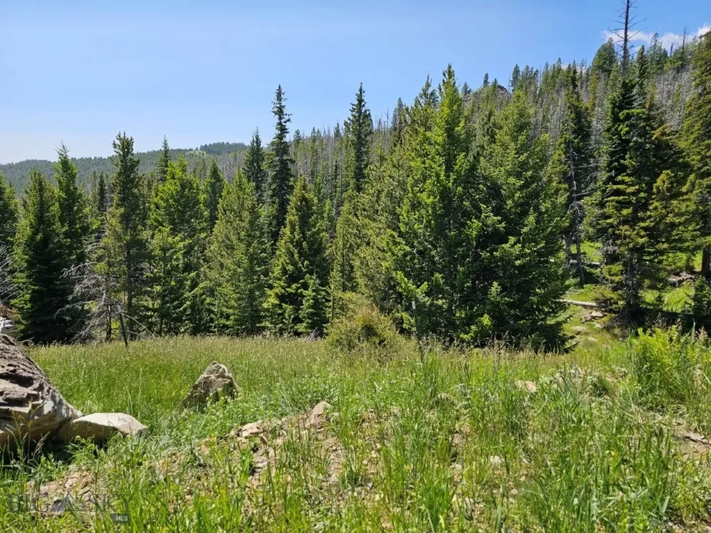 New Era Indian Creek Townsend MT 59644