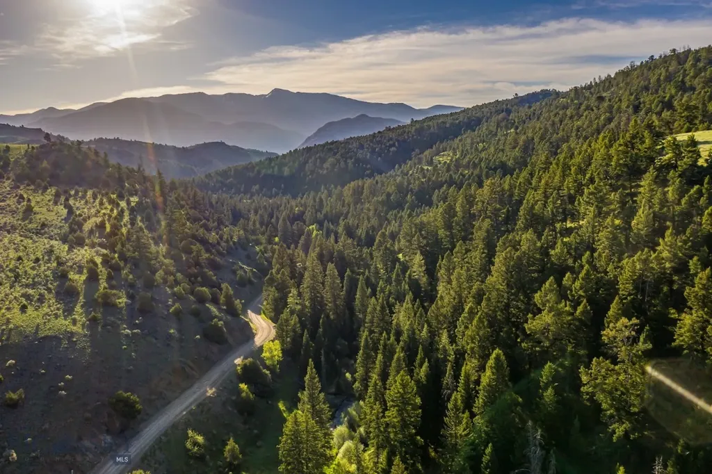 569/571 Cinnabar Basin Road Gardiner MT 59030