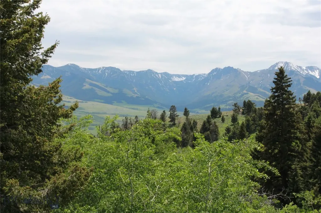 524 Grizzly Meadow Road Emigrant MT 59027