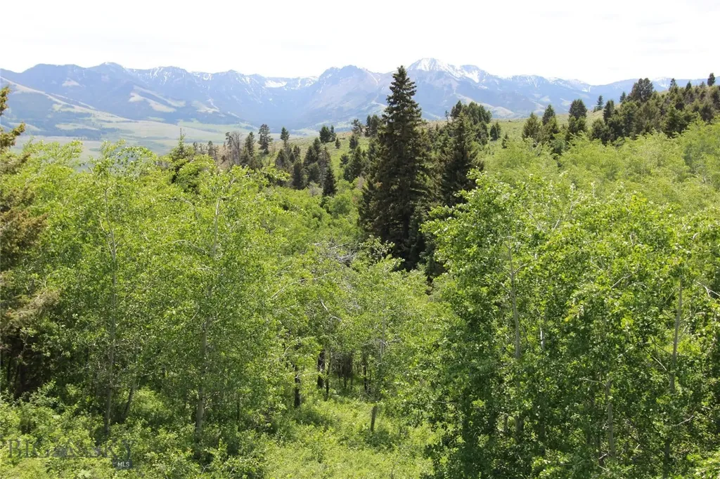524 Grizzly Meadow Road Emigrant MT 59027