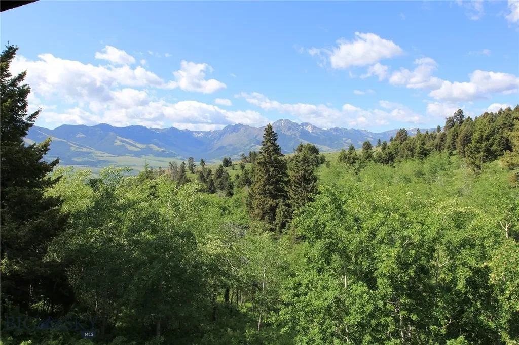 524 Grizzly Meadow Road Emigrant MT 59027