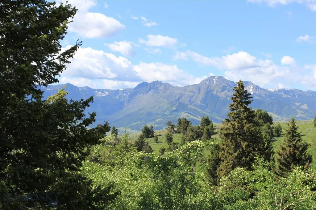 524 Grizzly Meadow Road Emigrant MT 59027