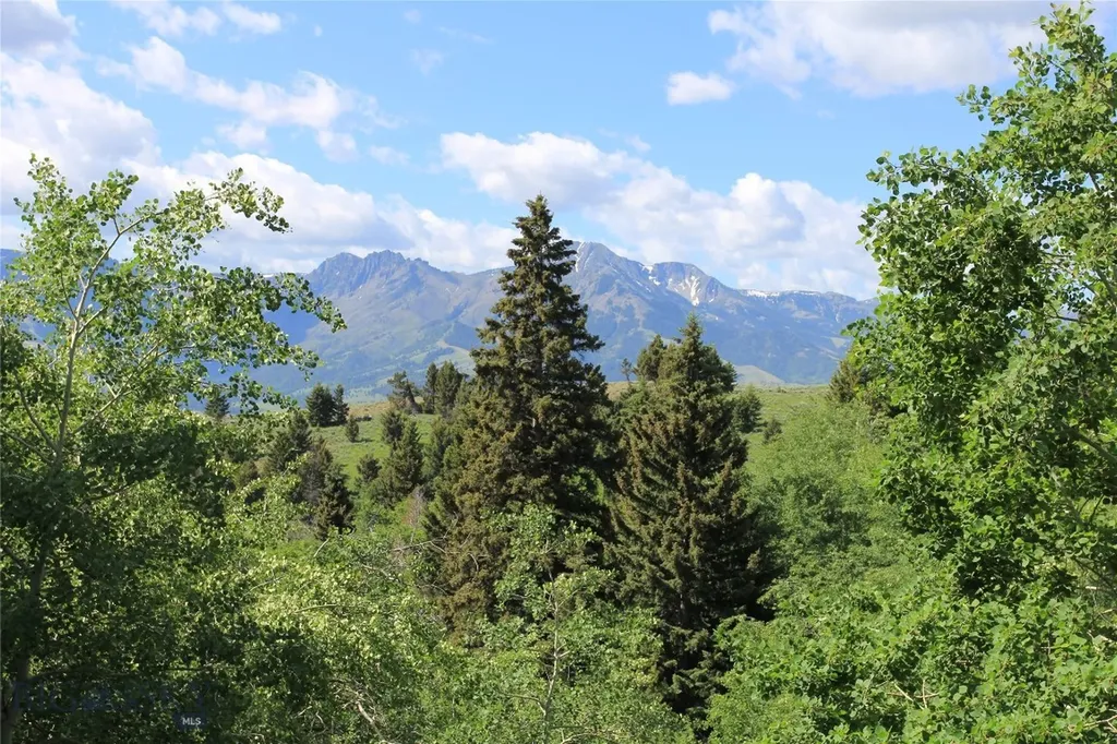 524 Grizzly Meadow Road Emigrant MT 59027