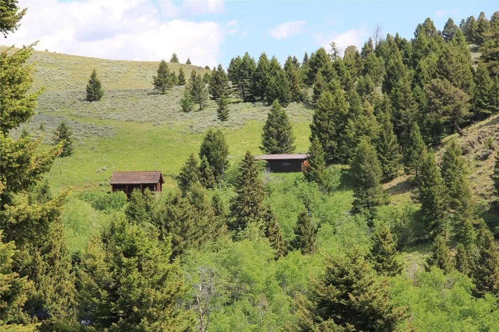 524 Grizzly Meadow Road Emigrant MT 59027