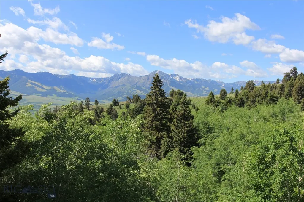 524 Grizzly Meadow Road Emigrant MT 59027