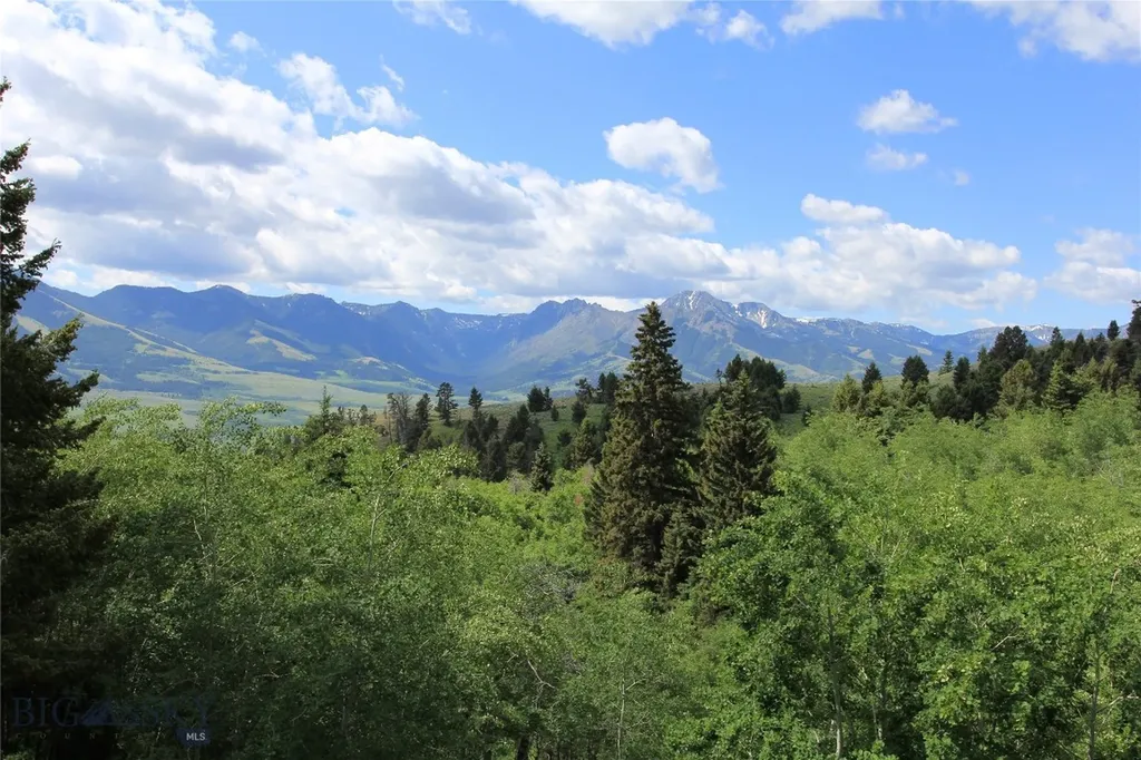 524 Grizzly Meadow Road Emigrant MT 59027