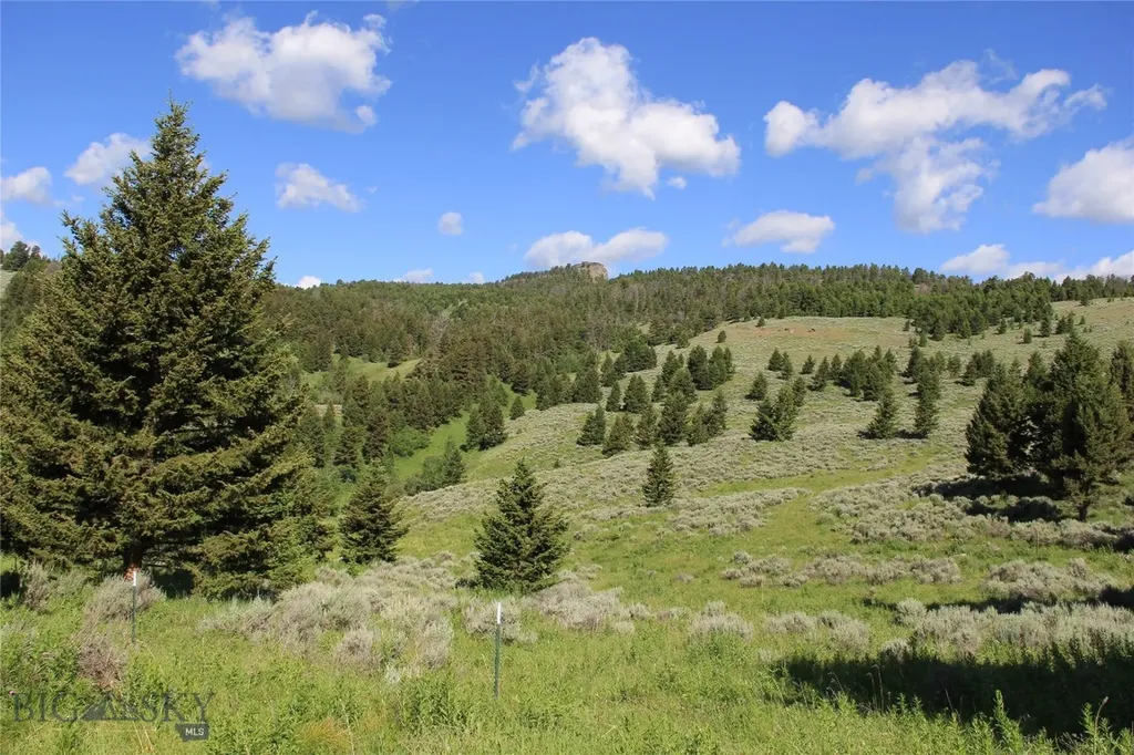 524 Grizzly Meadow Road Emigrant MT 59027