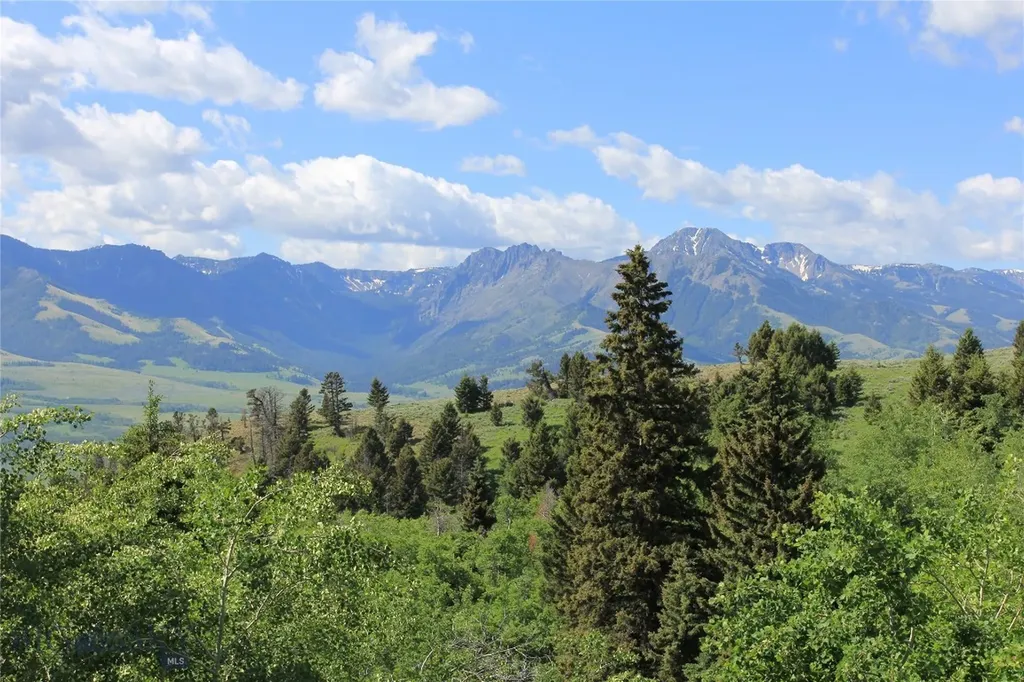 524 Grizzly Meadow Road Emigrant MT 59027