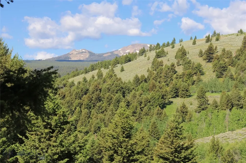 524 Grizzly Meadow Road Emigrant MT 59027