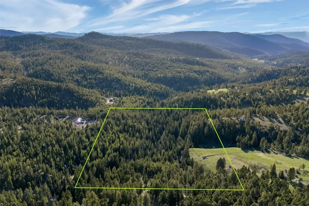 541 Defendor Lane Helmville MT 59843