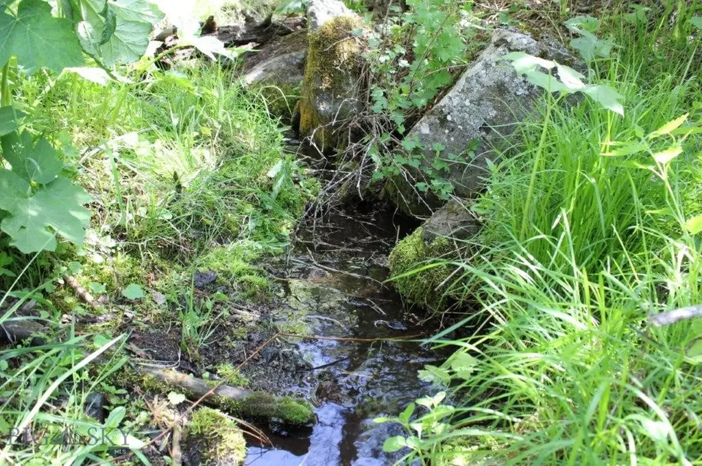 6 Pine Coulee Cascade MT 59421