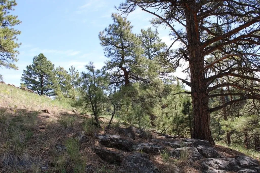 6 Pine Coulee Cascade MT 59421