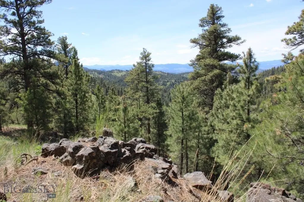 6 Pine Coulee Cascade MT 59421
