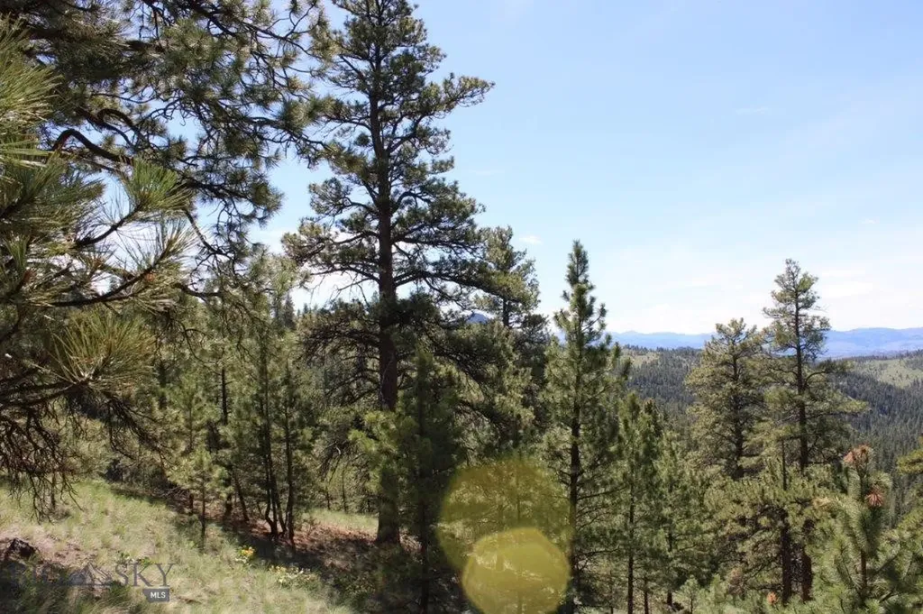 6 Pine Coulee Cascade MT 59421