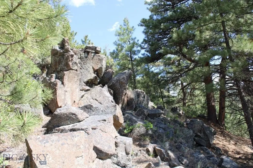 6 Pine Coulee Cascade MT 59421
