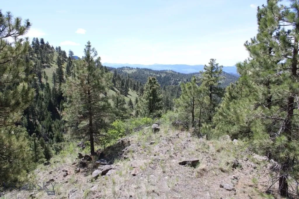 6 Pine Coulee Cascade MT 59421