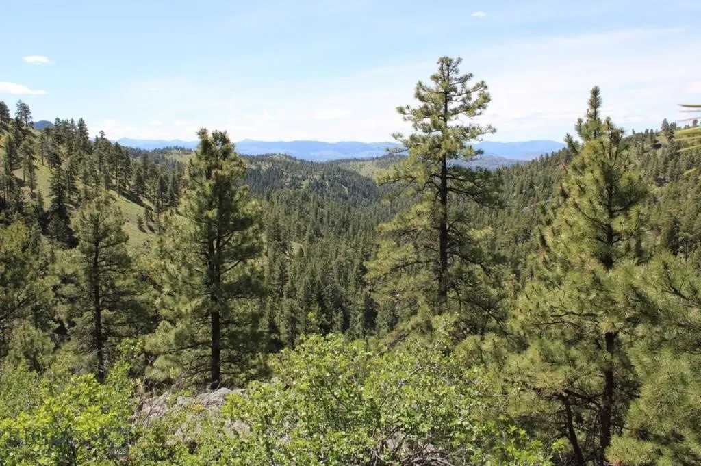 6 Pine Coulee Cascade MT 59421