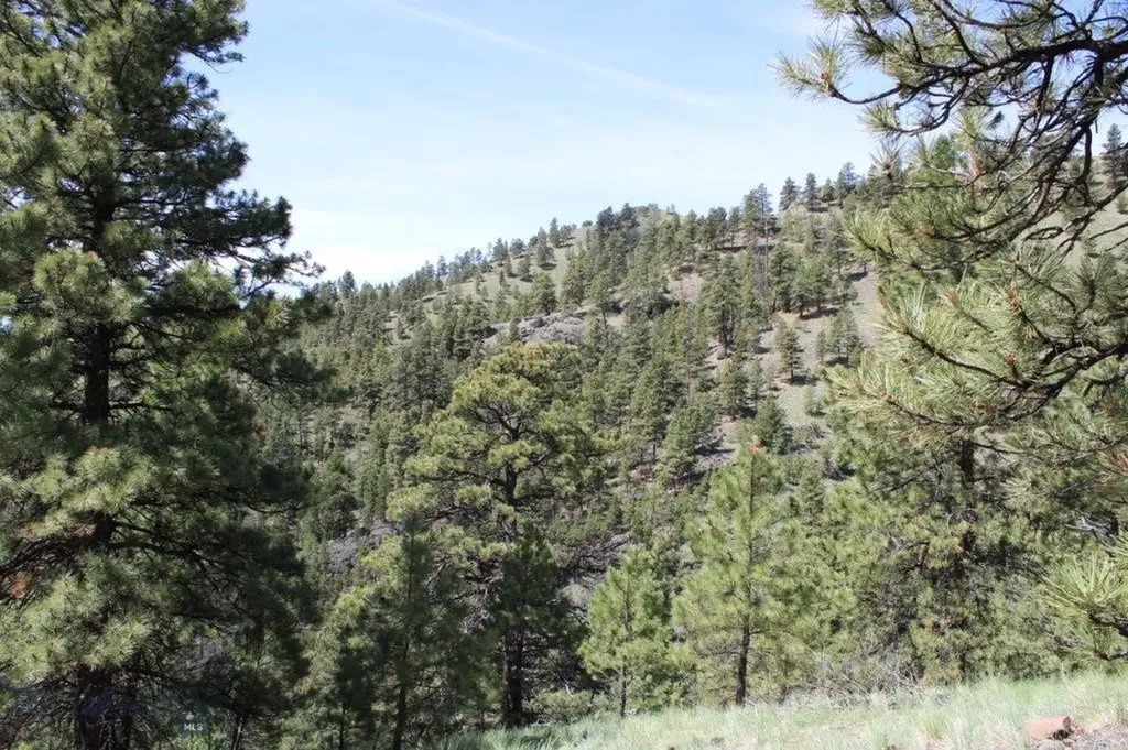 6 Pine Coulee Cascade MT 59421