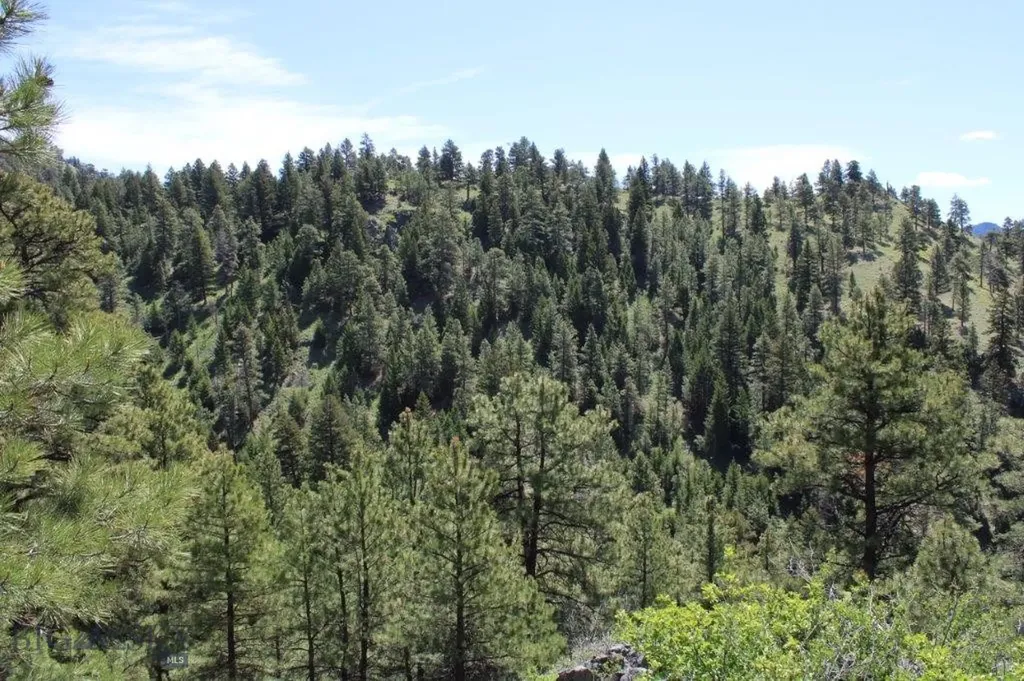 6 Pine Coulee Cascade MT 59421