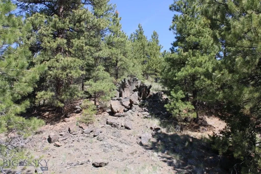 6 Pine Coulee Cascade MT 59421