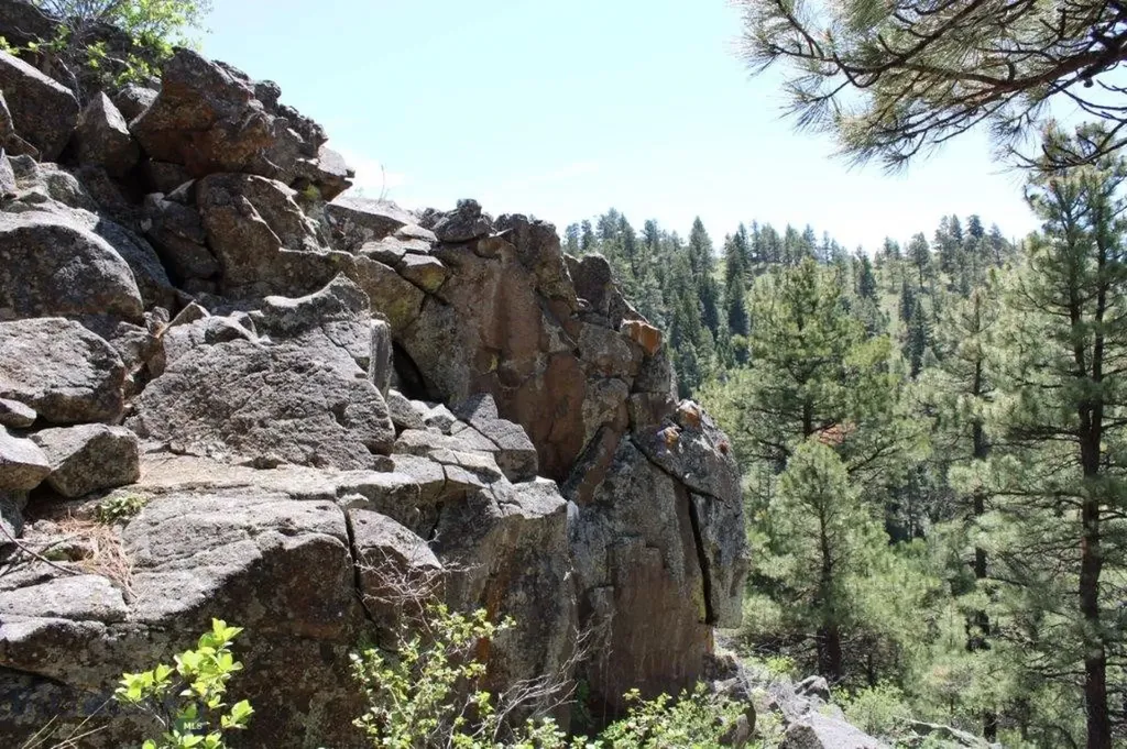 6 Pine Coulee Cascade MT 59421