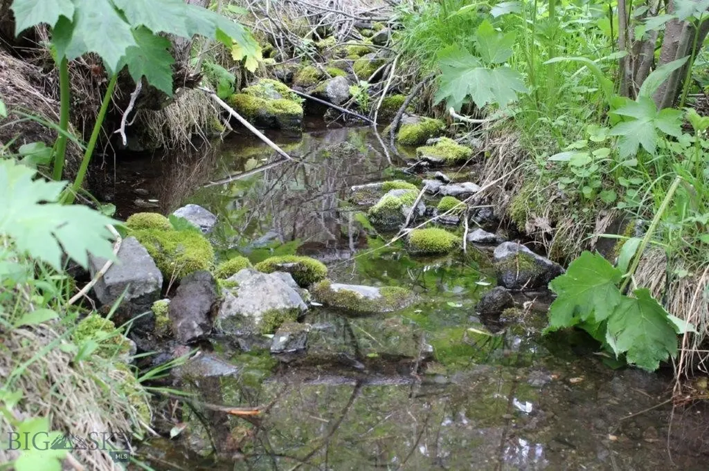 6 Pine Coulee Cascade MT 59421