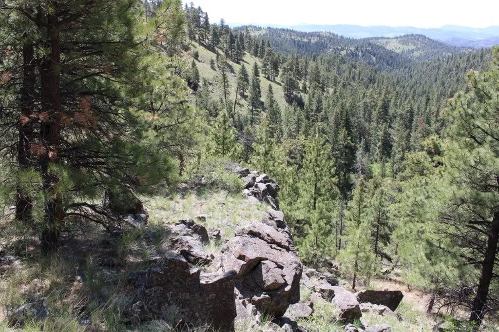 6 Pine Coulee Cascade MT 59421