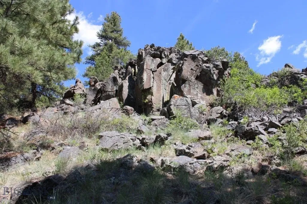 6 Pine Coulee Cascade MT 59421