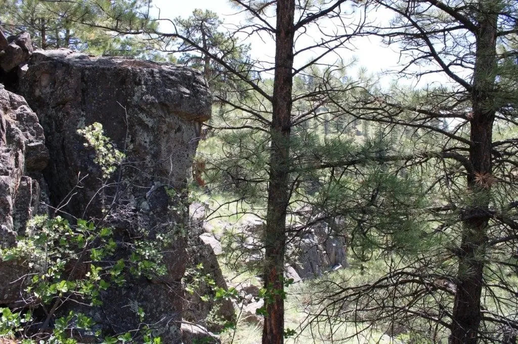 6 Pine Coulee Cascade MT 59421