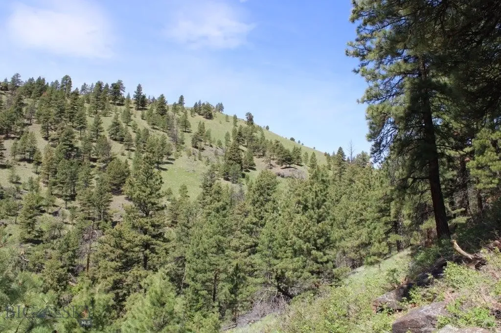 6 Pine Coulee Cascade MT 59421