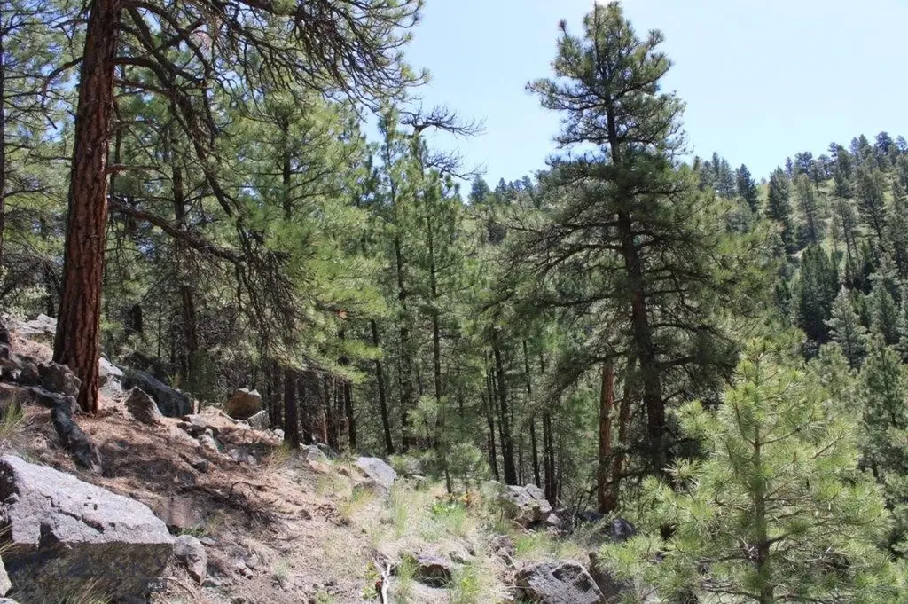 6 Pine Coulee Cascade MT 59421