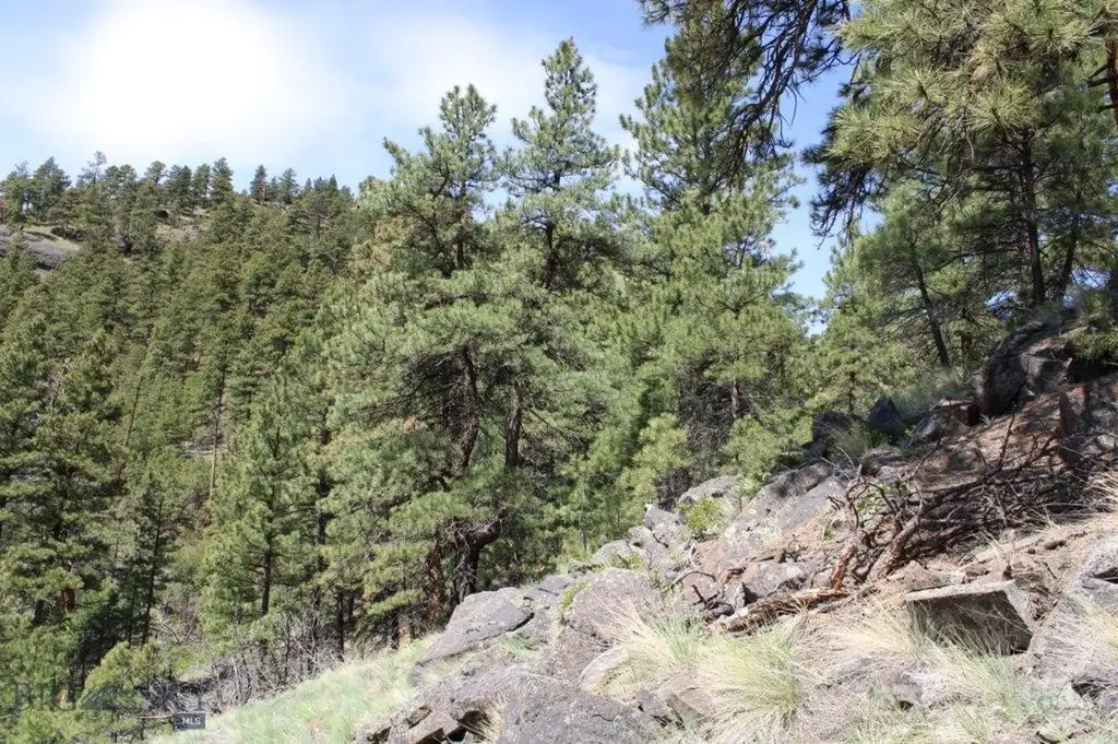 6 Pine Coulee Cascade MT 59421